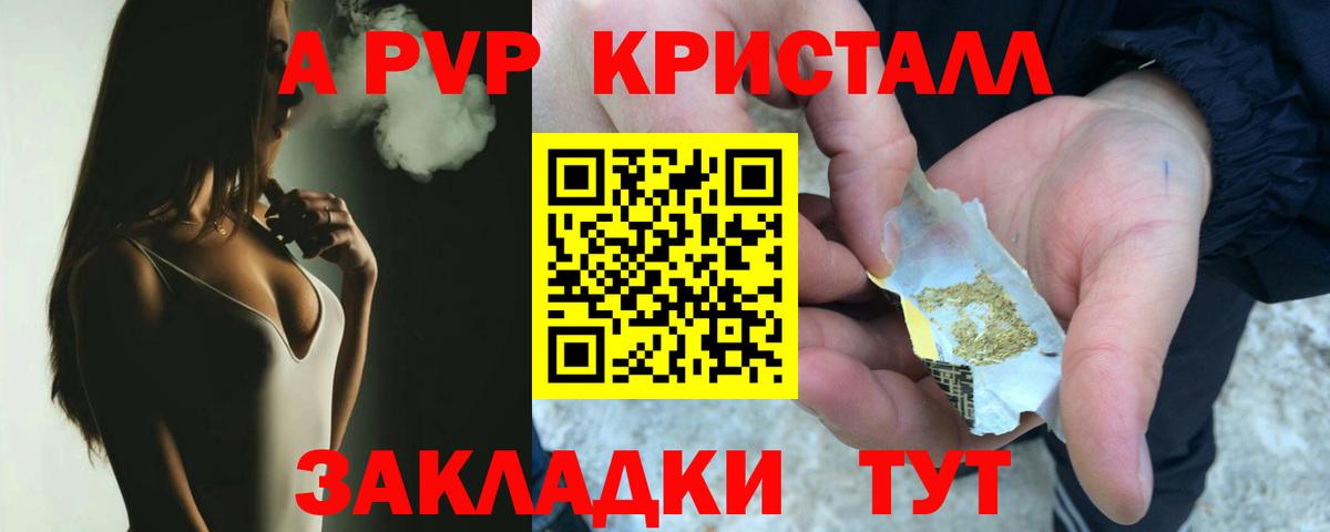A PVP СК Сургут