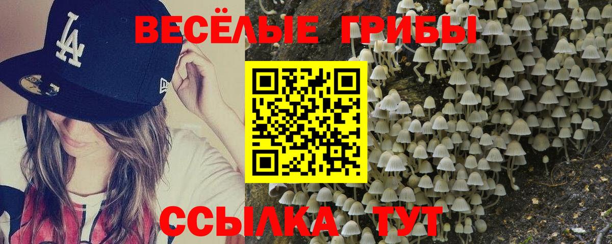 Галлюциногенные грибы прущие грибы  Вход с VPN  Сургут 